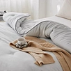 comforter blanket